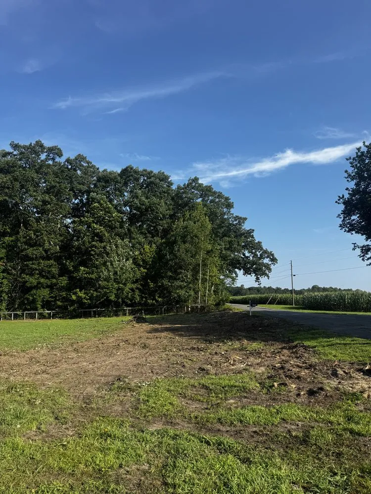 Expert yard cleanup service experts serving Aylett, VA - Herring creek land solutions llc