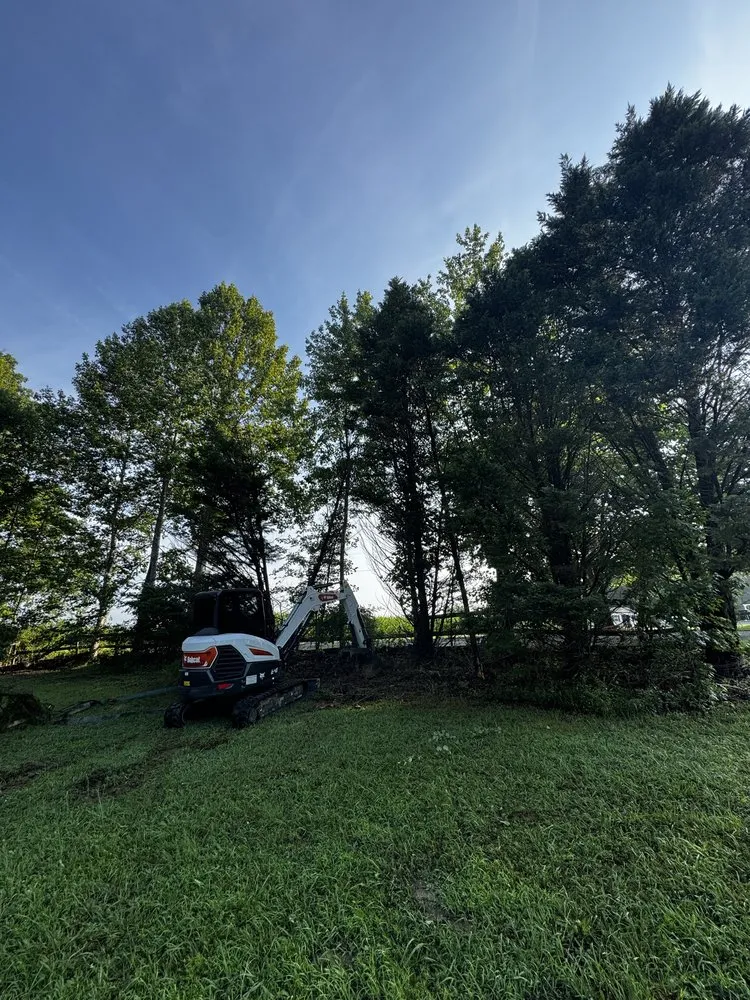 Reliable yard cleanup service in Aylett, VA - Herring creek land solutions llc