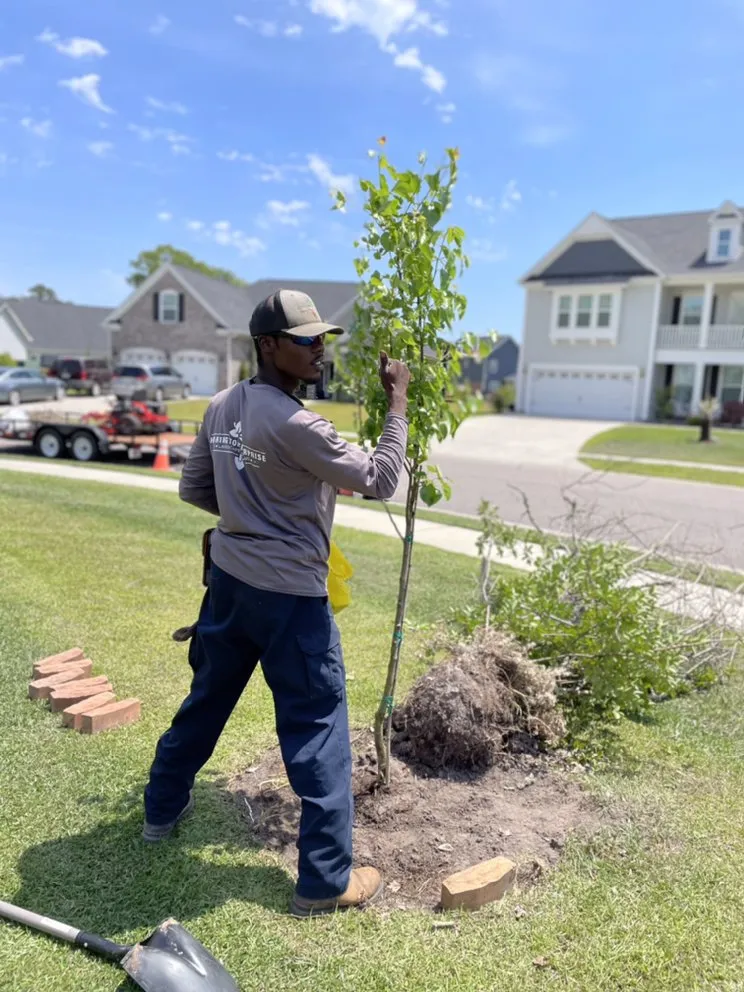 Local outdoor landscaping experts serving Allenhurst, GA - Herrington Enterprises Landscapes & Designs