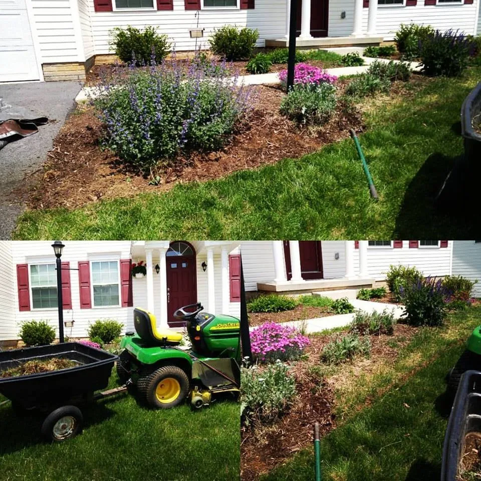 Top-rated lawn care service experts serving State College, PA - Herrolds Landscaping