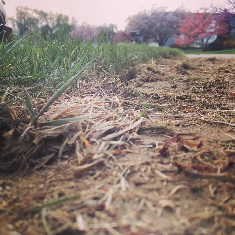 Custom yard maintenance in State College, PA by Herrolds Landscaping