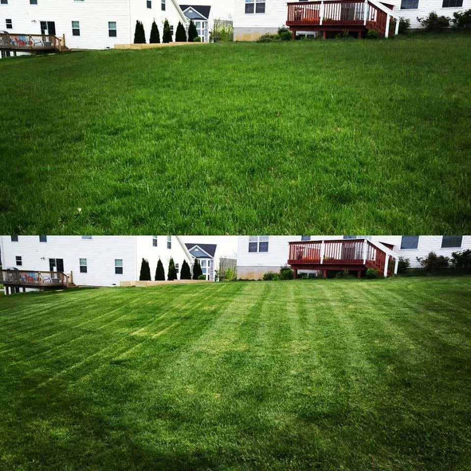 Affordable yard maintenance in State College, PA by Herrolds Landscaping