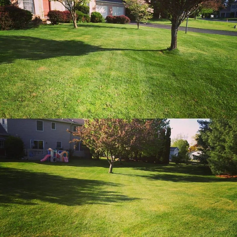 Top-rated landscape installation experts serving State College, PA - Herrolds Landscaping