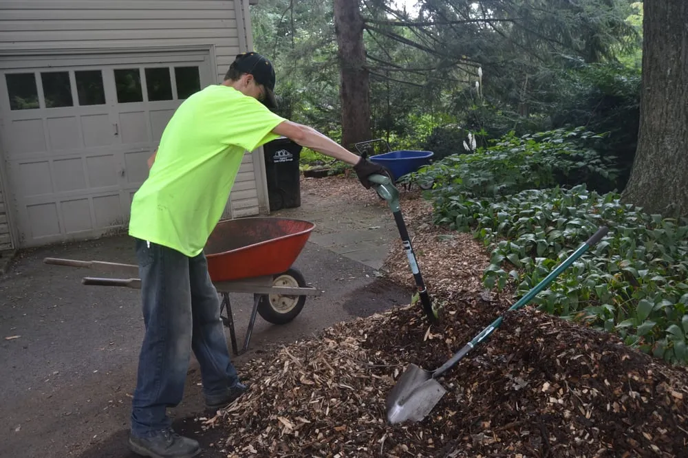 Reliable yard cleanup service in State College, PA by Herrolds Landscaping