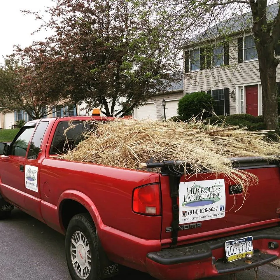 Local landscaping services for year-round maintenance in State College, PA by Herrolds Landscaping