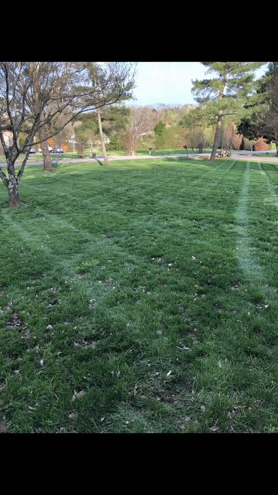 Affordable outdoor landscaping experts serving Franklin, TN - Herron Lawn Care