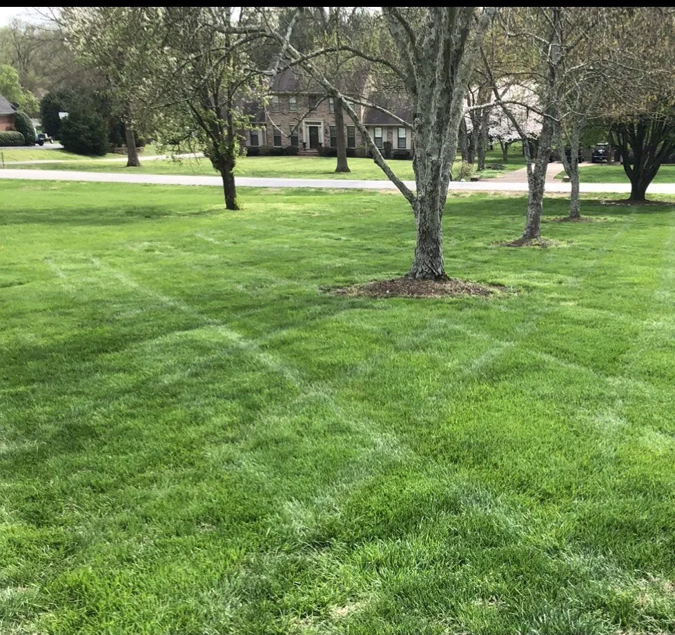 Expert landscape design in Franklin, TN by Herron Lawn Care