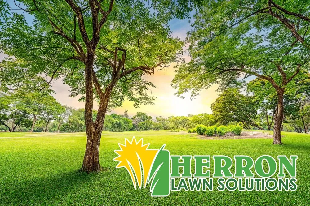 Local residential landscaping experts serving Hot Springs, AR - Herron Lawn Solutions
