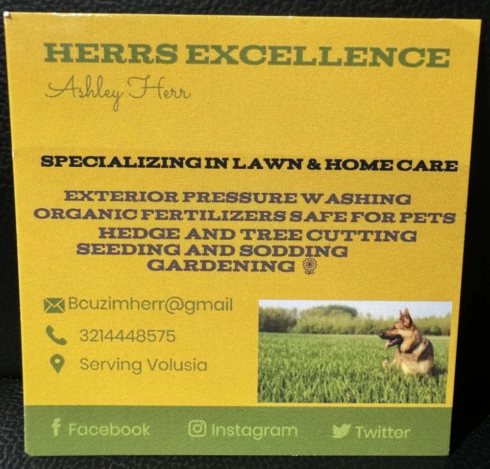 Expert landscaping services in DeLand, FL by Herrs Excellence