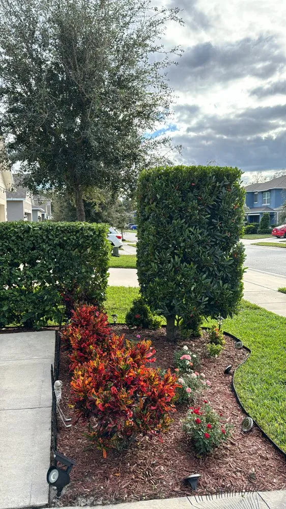 Expert yard cleanup service for homes in DeLand, FL by Herrs Excellence