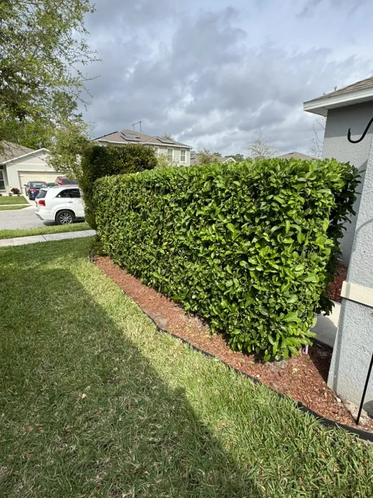 Affordable yard cleanup service experts serving DeLand, FL - Herrs Excellence