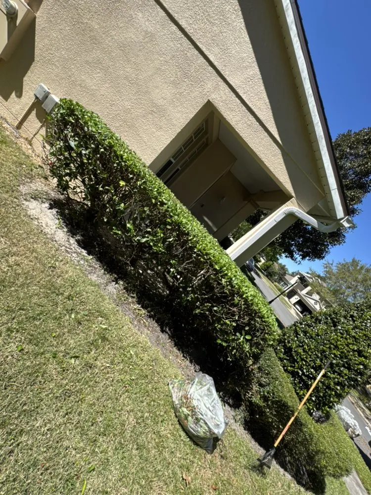 Top-rated landscape design in DeLand, FL - Herrs Excellence