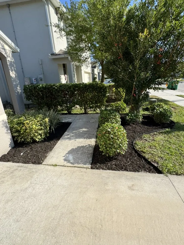 Local landscape design in DeLand, FL by Herrs Excellence