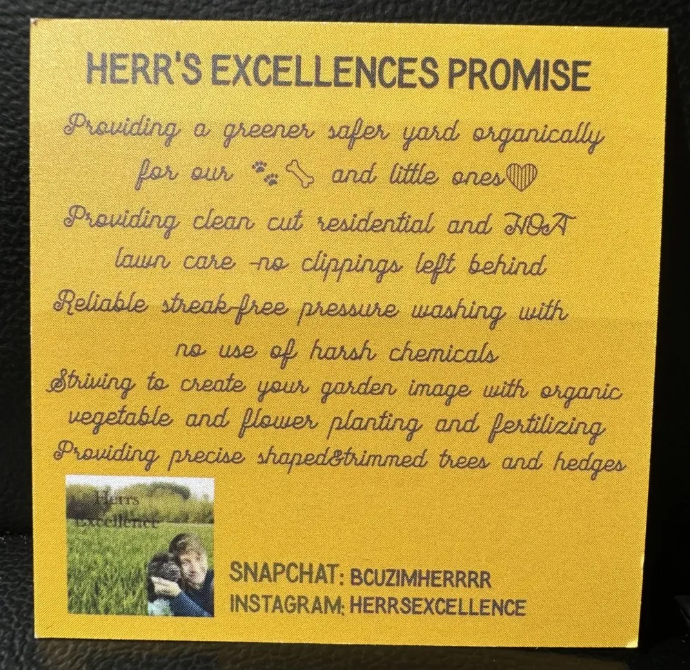 Custom landscaping services for beautiful yards across DeLand, FL - Herrs Excellence