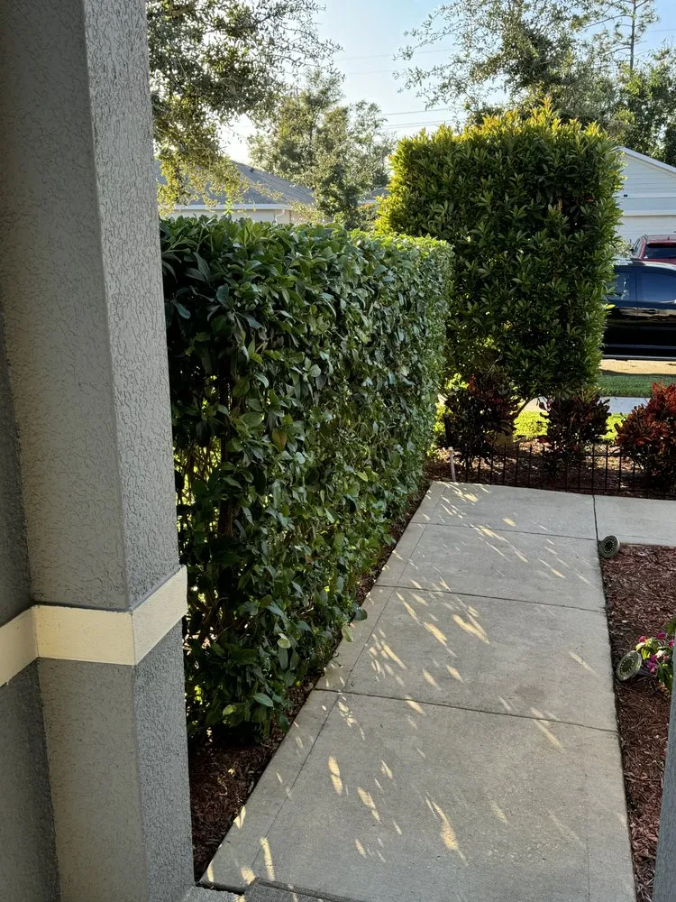 Affordable outdoor landscaping in DeLand, FL by Herrs Excellence