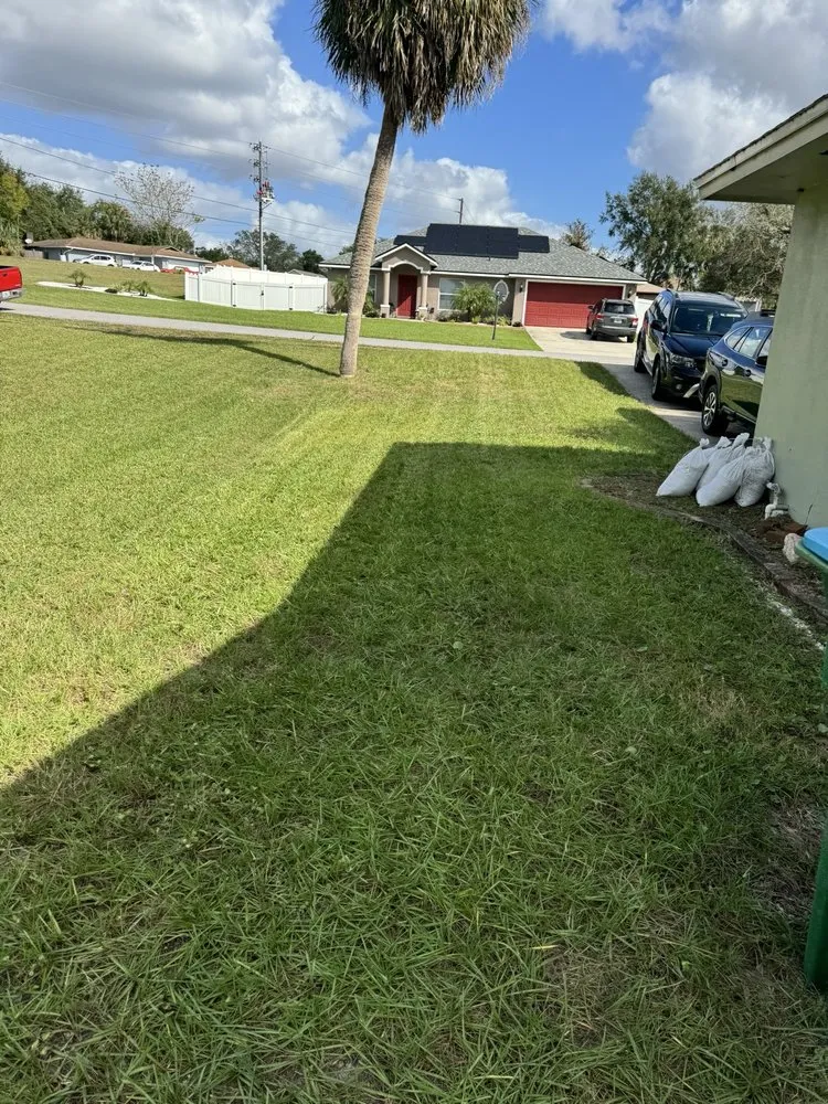 Professional landscape installation in DeLand, FL - Herrs Excellence