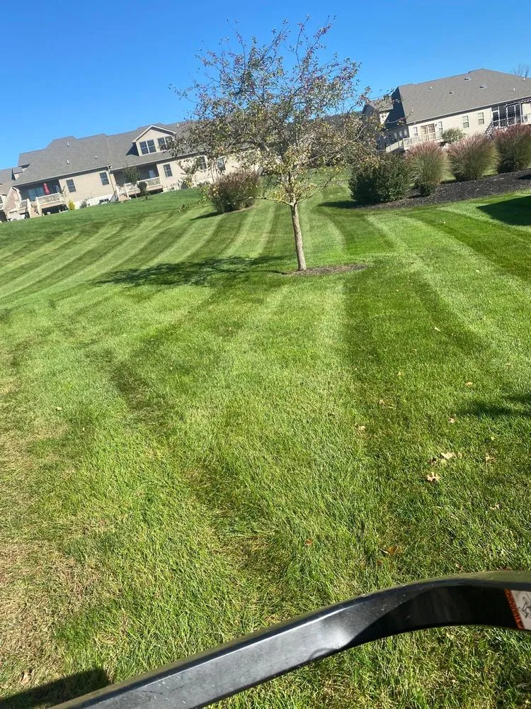 Local outdoor landscaping in Lancaster, PA - Herr's Homescapes