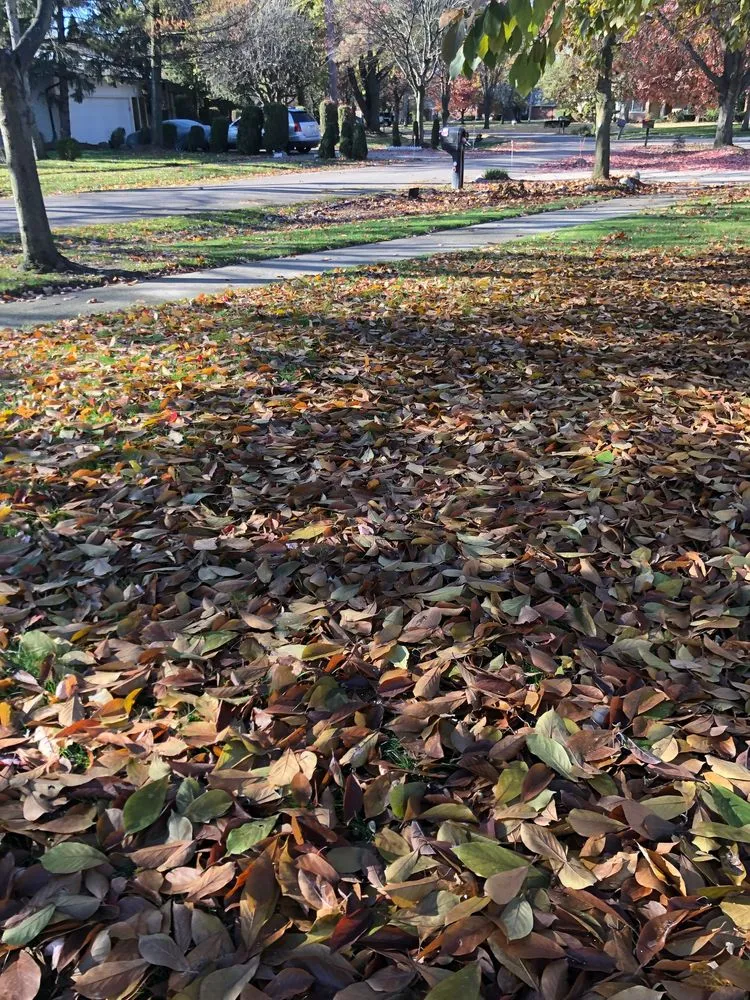 Expert lawn mowing service for beautiful yards in Oak Park, MI by Hersch's Lawn Spray