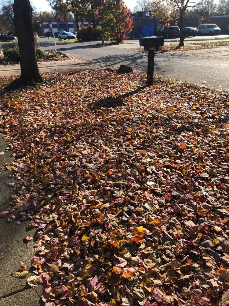 Professional lawn mowing service with custom design across Oak Park, MI - Hersch's Lawn Spray