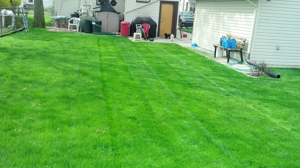 Affordable residential landscaping for outdoor upgrades in Oak Park, MI by Hersch's Lawn Spray