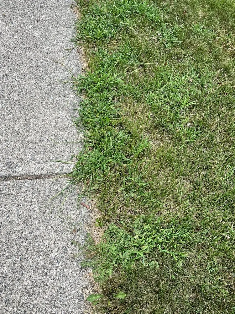 Affordable landscape installation experts serving Oak Park, MI - Hersch's Lawn Spray