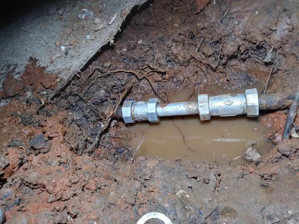 Expert lawn mowing service for year-round maintenance in elkins, WV by Hertig Landscaping and Services