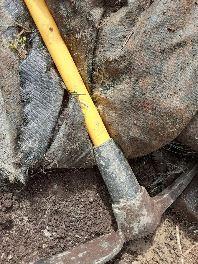 Trusted outdoor landscaping for homes across elkins, WV - Hertig Landscaping and Services