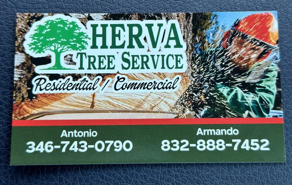 Affordable lawn mowing service in Tyler, TX - Herva Tree Service