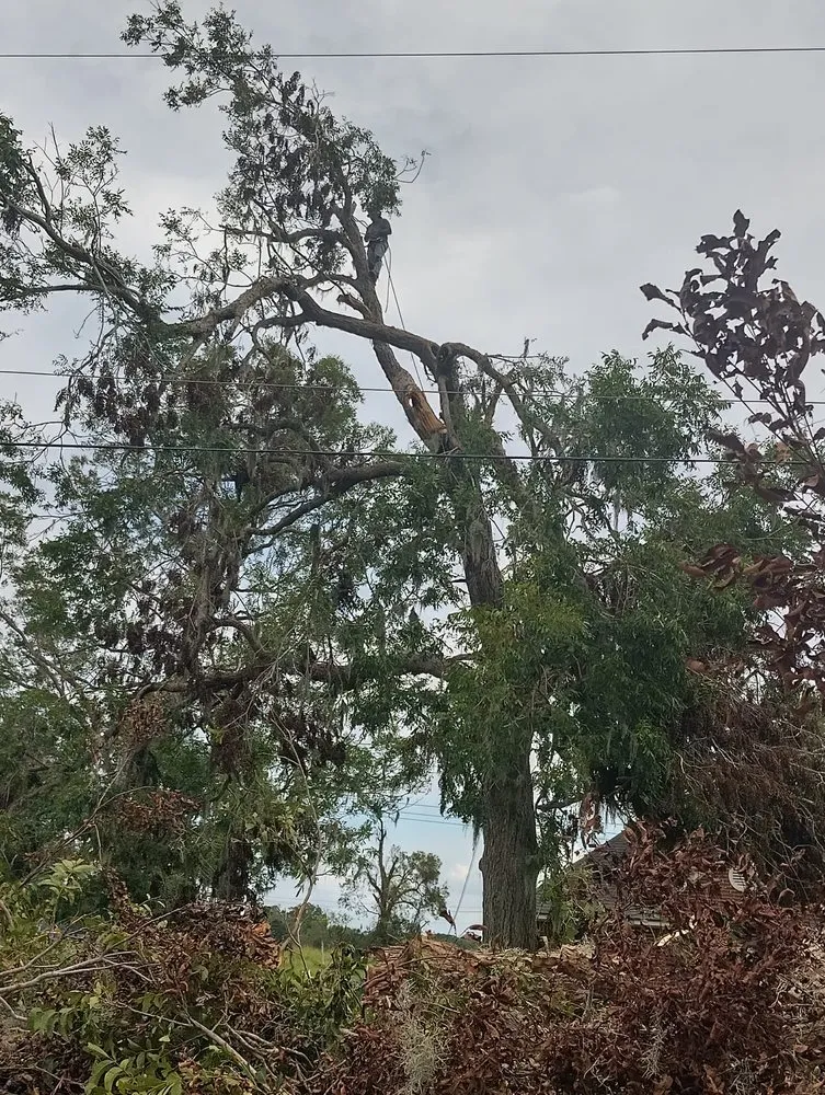 Trusted garden landscaping experts serving Tyler, TX - Herva Tree Service