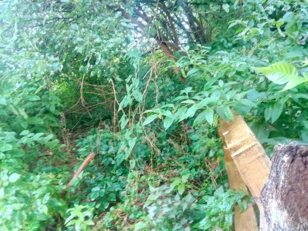 Custom lawn care service in Myersville, MD by Hervet Landworks