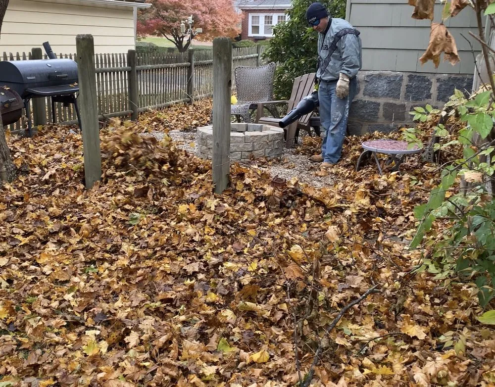 Affordable landscaping services in Chelsea, MA by Herwing Bros Corp