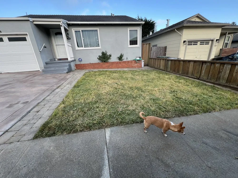 Top-rated outdoor landscaping in South San Francisco, CA by Hes So Handy Services