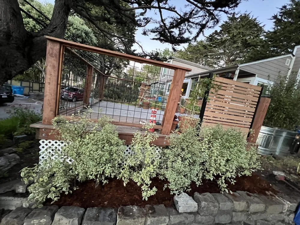 Reliable yard maintenance for year-round maintenance across South San Francisco, CA - Hes So Handy Services