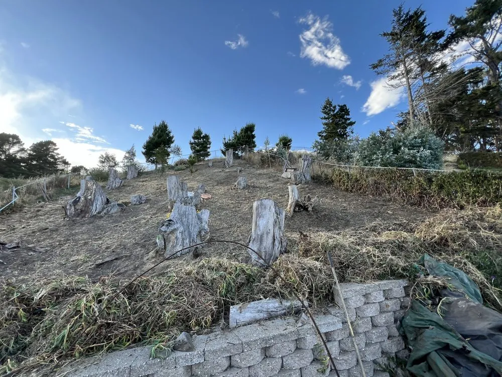 Reliable landscape installation for outdoor upgrades in South San Francisco, CA by Hes So Handy Services