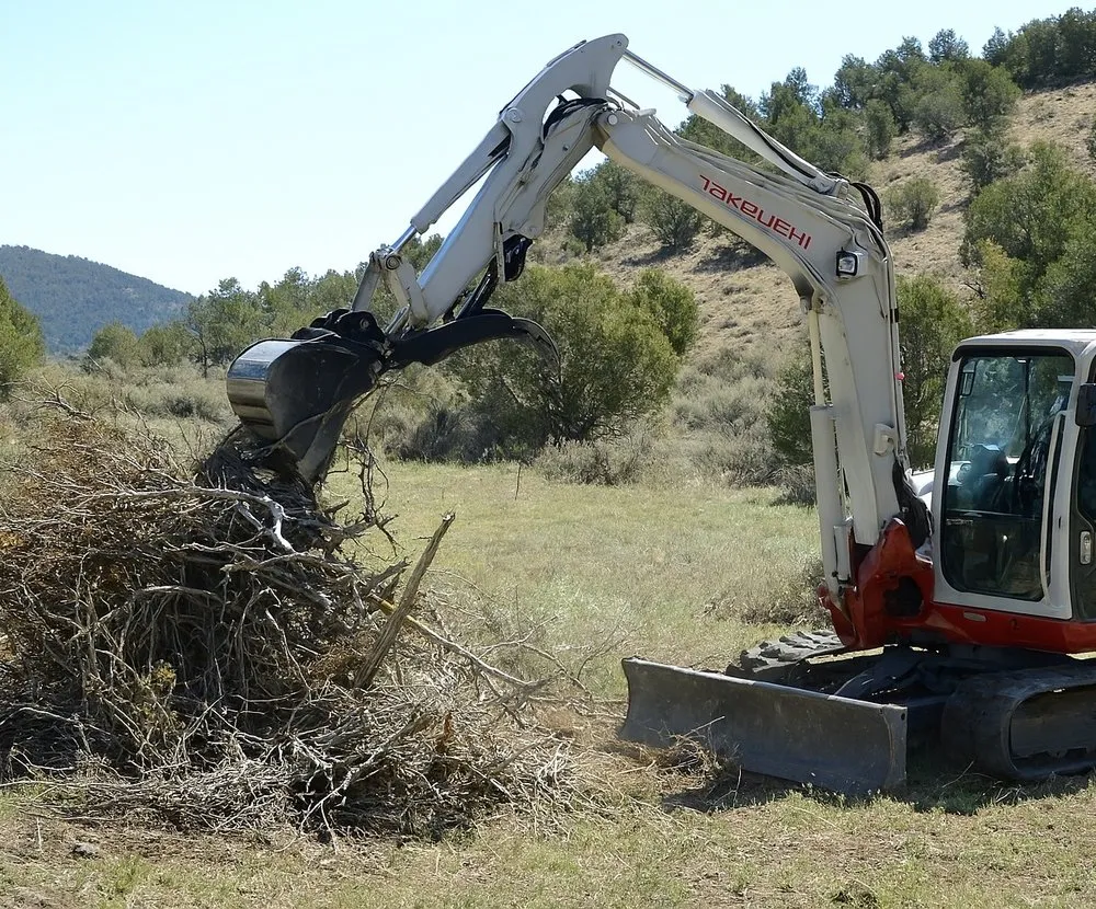 Professional yard cleanup service near you in Hesperus, CO by Hesperus Ground to Home
