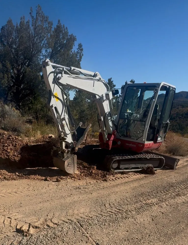 Affordable yard cleanup service in Hesperus, CO by Hesperus Ground to Home