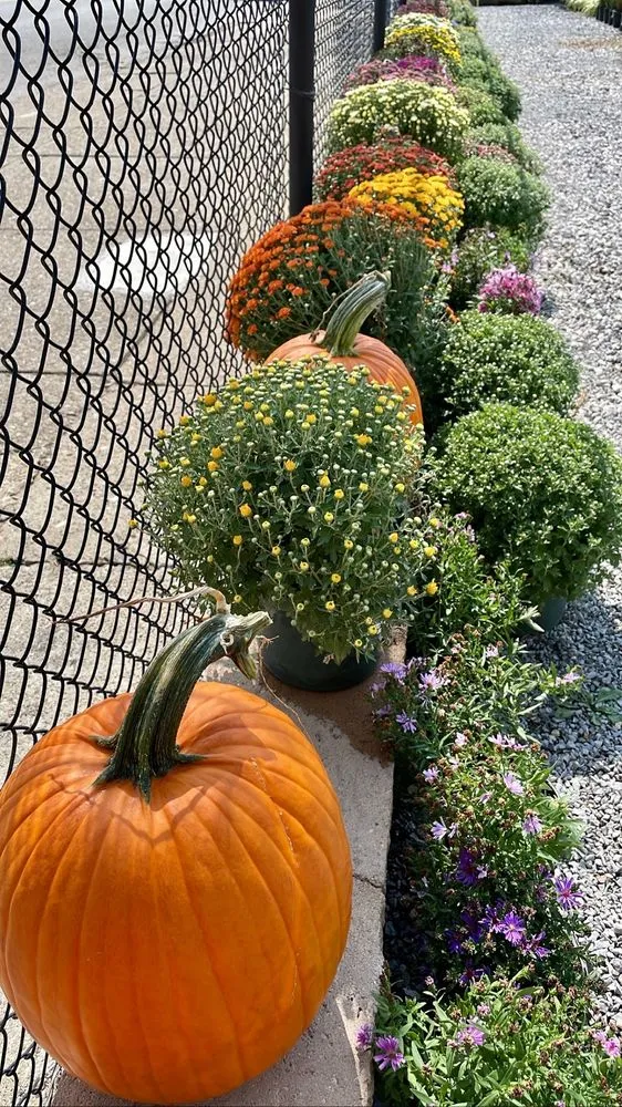 Affordable landscape design for year-round maintenance in Louisville, KY by Hess' Landscaping & Nursery