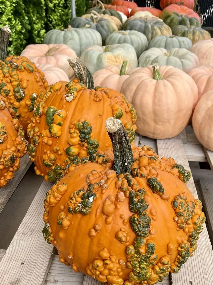 Local garden landscaping for residential properties across Louisville, KY - Hess' Landscaping & Nursery