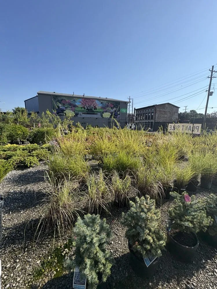 Affordable landscape installation in Louisville, KY by Hess' Landscaping & Nursery