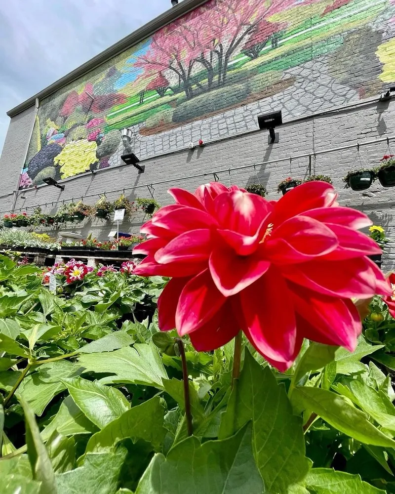 Affordable landscaping services for beautiful yards across Louisville, KY - Hess' Landscaping & Nursery