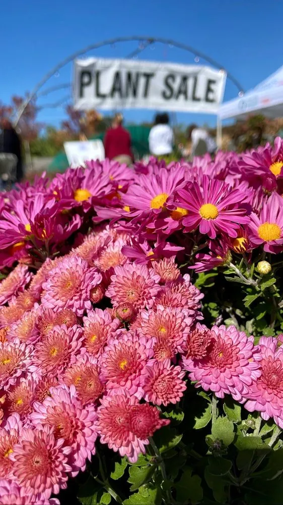 Affordable landscape design near you in Louisville, KY by Hess' Landscaping & Nursery