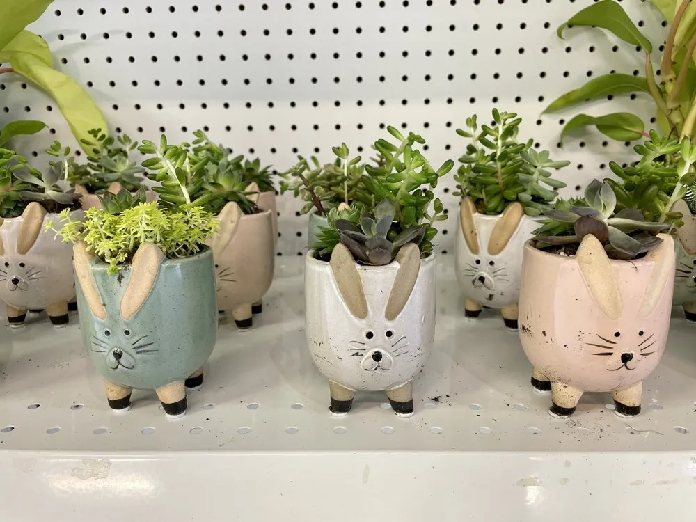 Local outdoor landscaping in Louisville, KY - Hess' Landscaping & Nursery