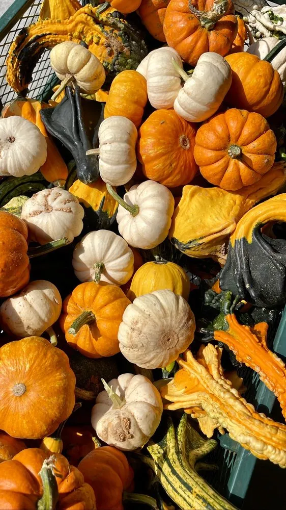 Top-rated landscaping services experts serving Louisville, KY - Hess' Landscaping & Nursery