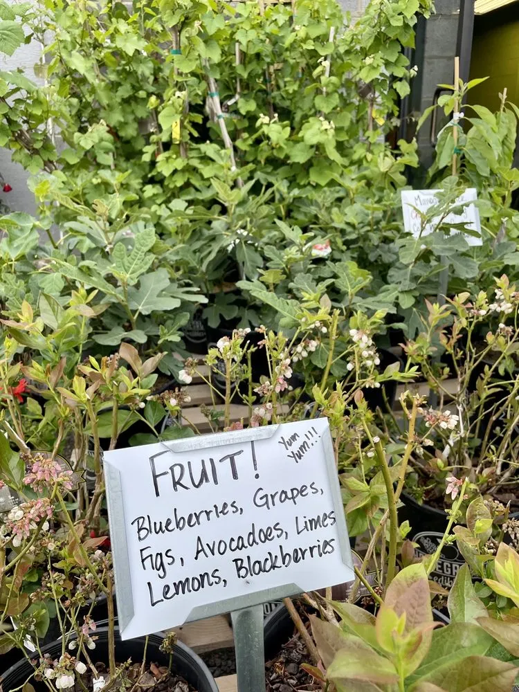 Custom landscape design in Louisville, KY - Hess' Landscaping & Nursery