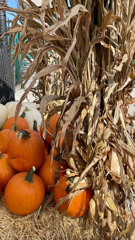 Custom lawn care service experts serving Louisville, KY - Hess' Landscaping & Nursery