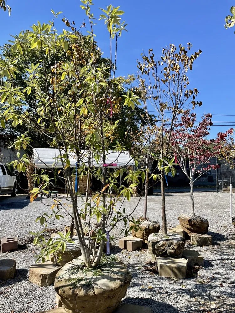 Professional landscape design experts serving Louisville, KY - Hess' Landscaping & Nursery