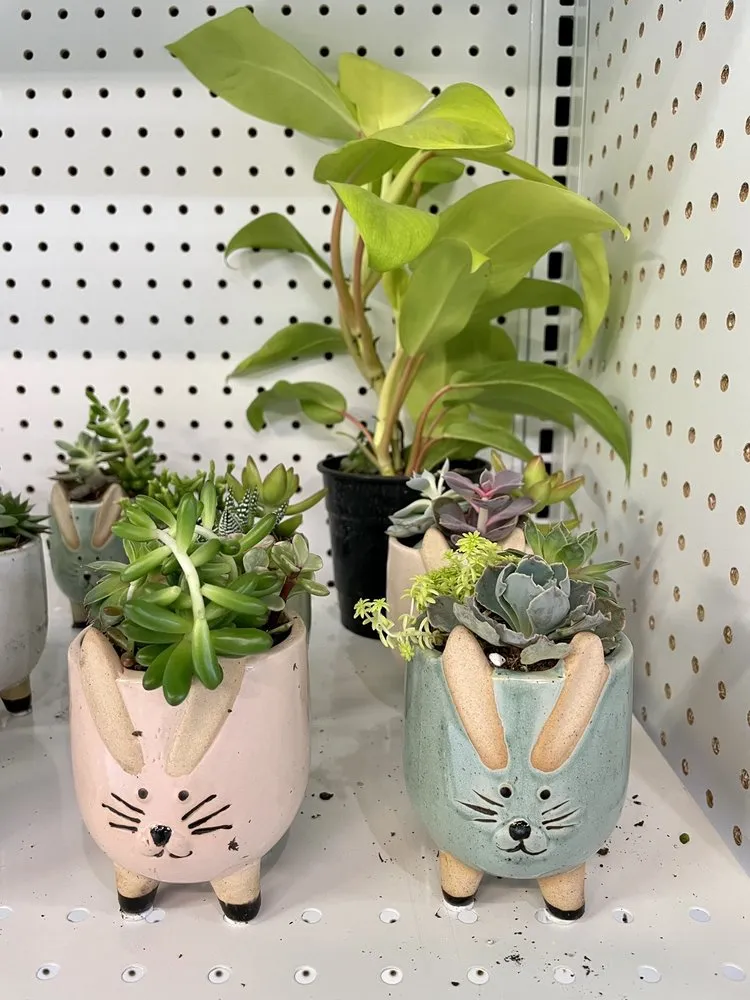 Reliable garden landscaping experts serving Louisville, KY - Hess' Landscaping & Nursery