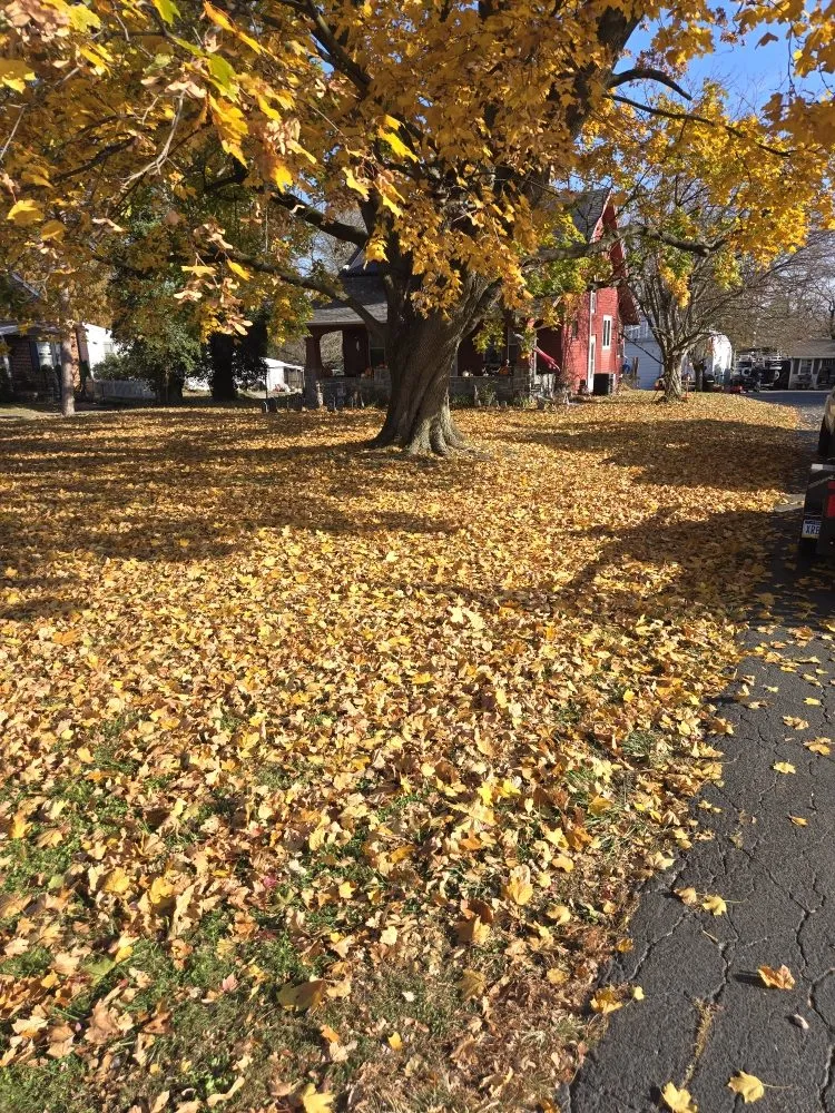 Local landscape installation with custom design across Mountville, PA - Hess² Landscaping