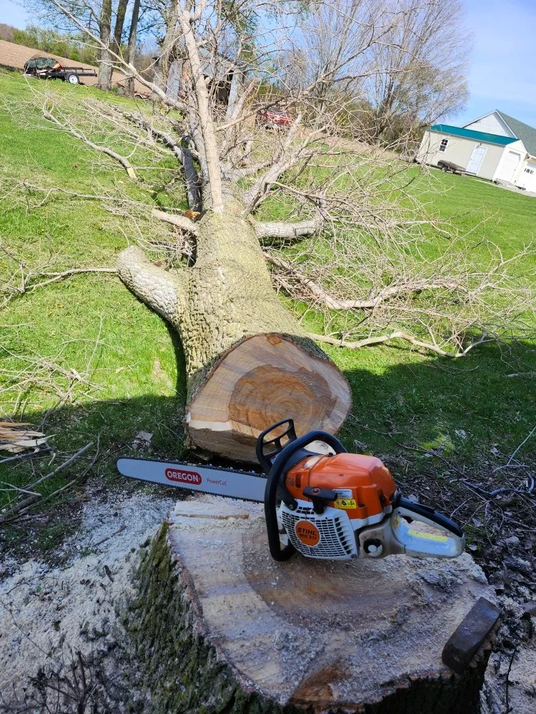 Affordable lawn care service near you in Hudson, MI by Hess Tree Service & More