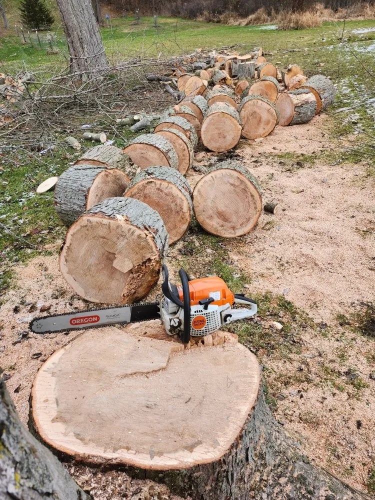 Top-rated landscape installation near you in Hudson, MI by Hess Tree Service & More